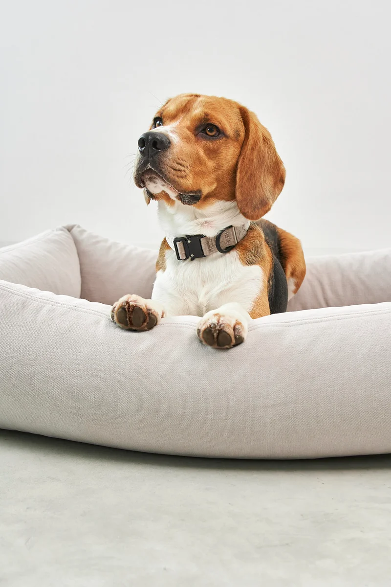 Comodo Hundebett Greige