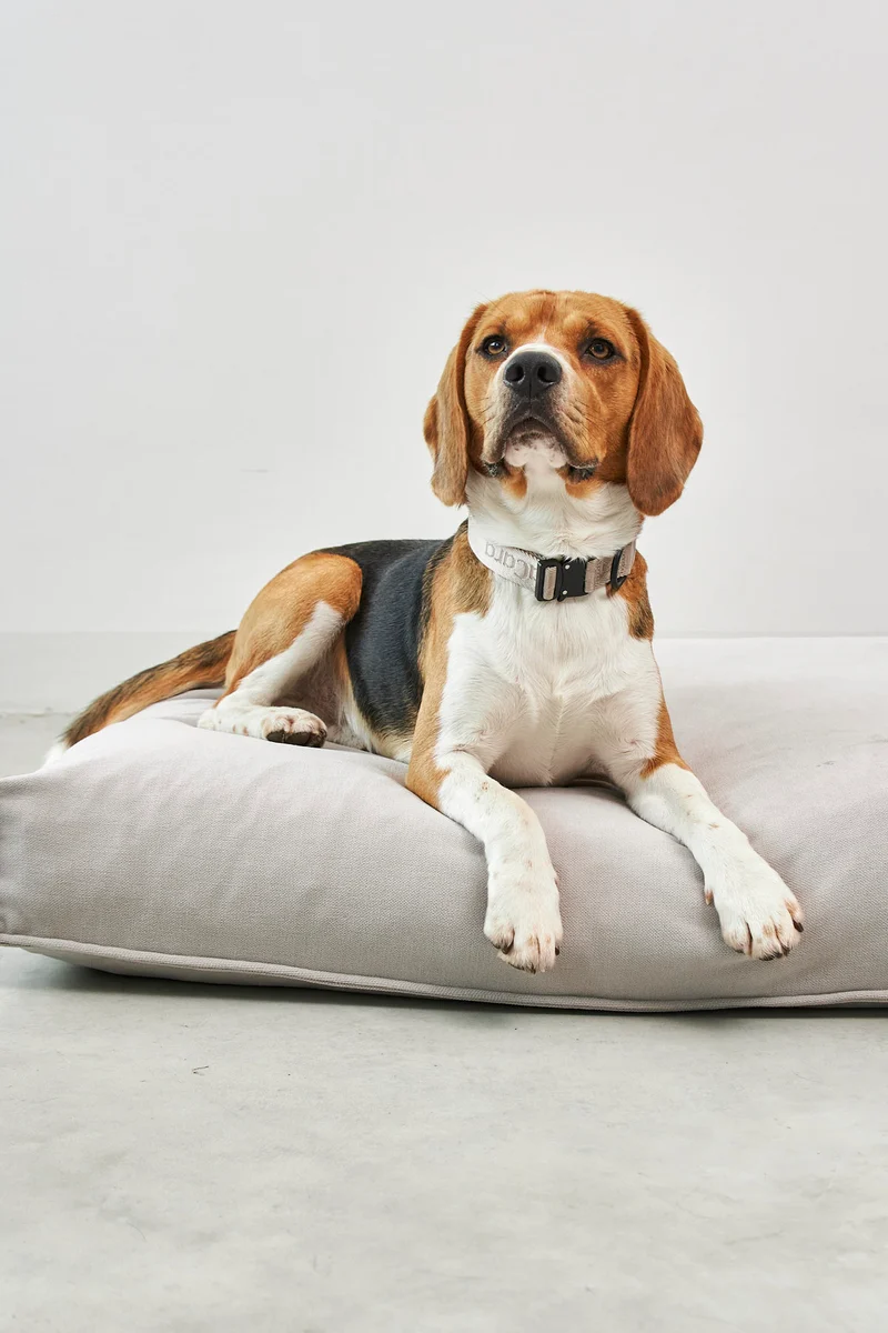 Comodo Hundekissen Greige