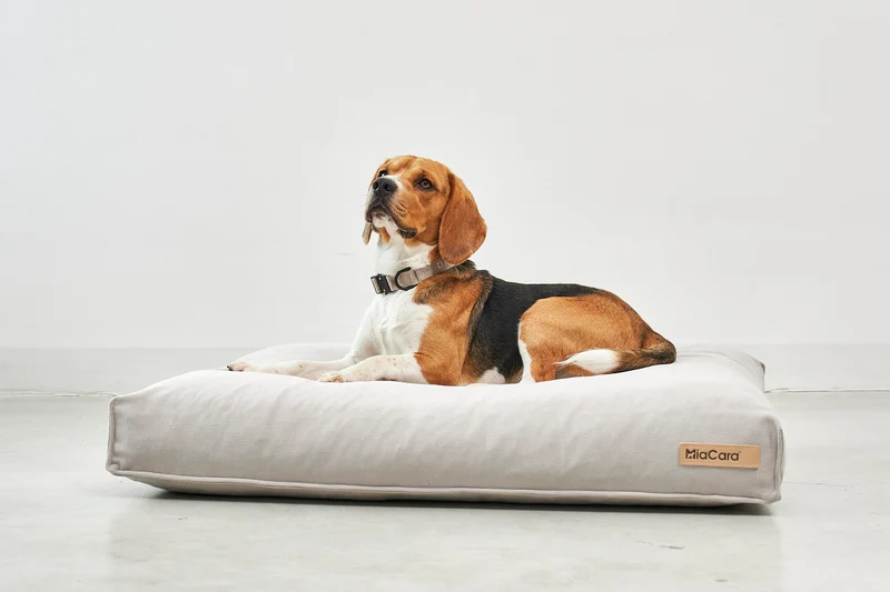 Comodo Hundekissen Greige