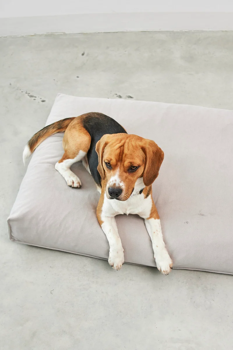 Comodo Hundekissen Greige