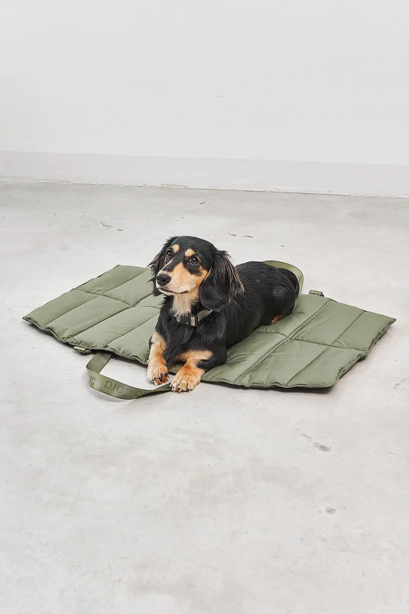 Strada travelBed Grolive