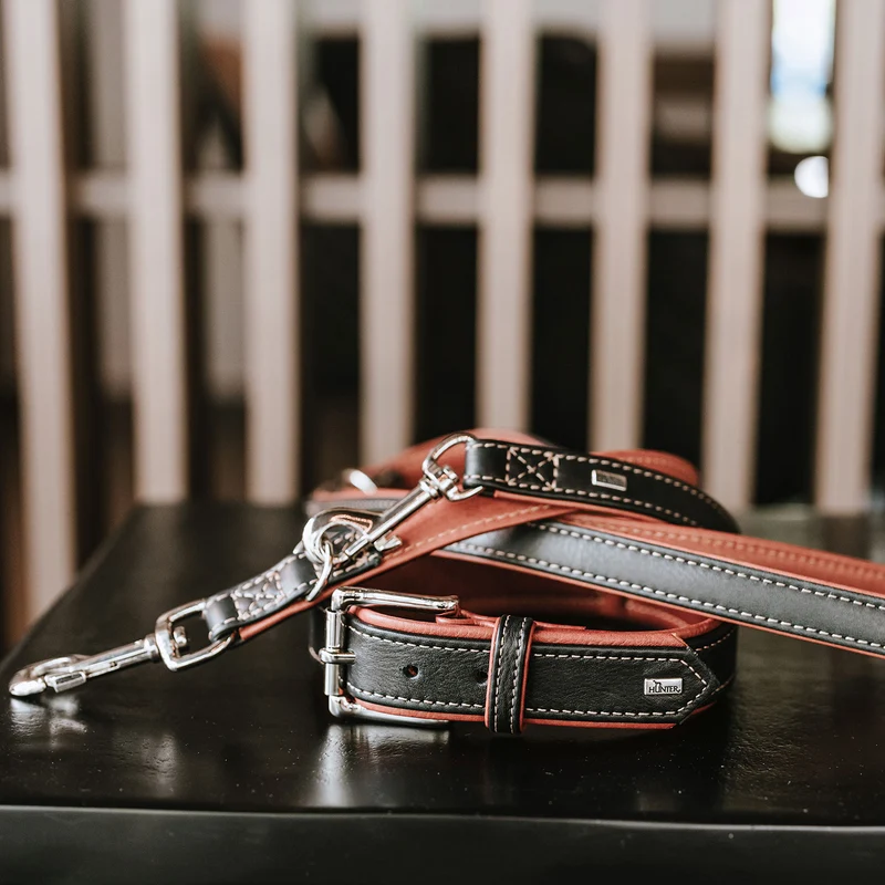 CANADIAN UP Set Halsband & Leine | schwarz/cognac