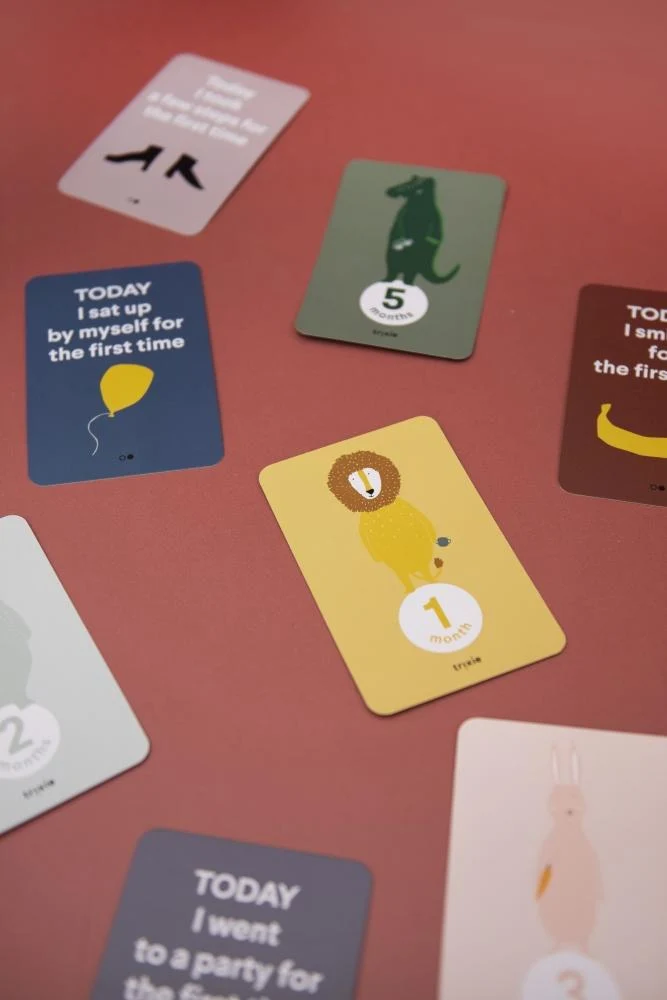 Spielzeug MEILENSTEINKARTEN für Kinder von Trixie