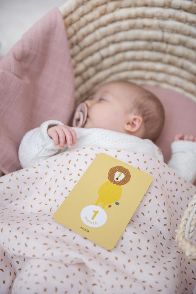 Spielzeug MEILENSTEINKARTEN für Kinder von Trixie