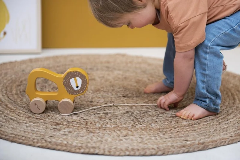 Nachziehtier ANIMALS aus Holz für Kinder von Trixie