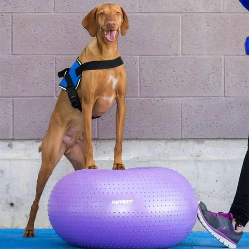 FitPAWS - TRAX | Balance - Donut für Hundetraining