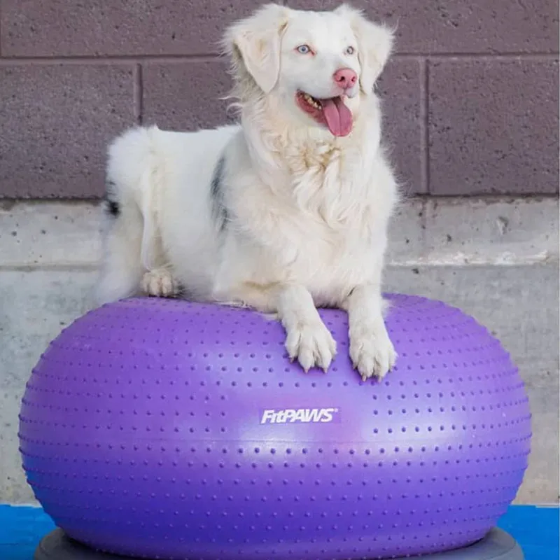 FitPAWS - TRAX | Balance - Donut für Hundetraining