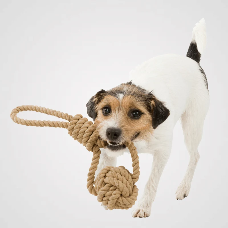 Spieltau - mit Ball | lustiges Spielzeug für Deinen Hund