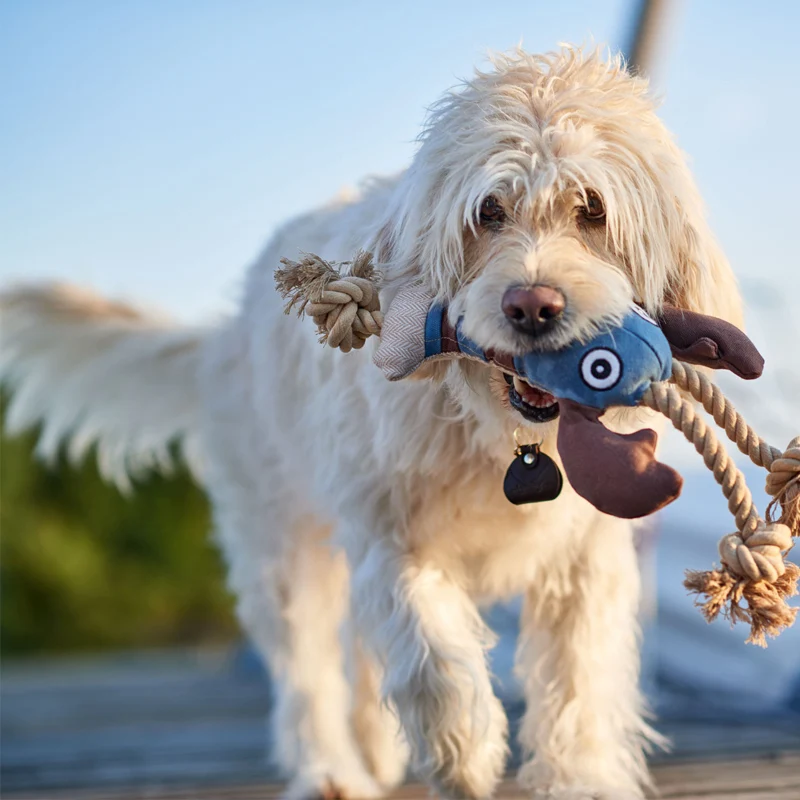 HUNTER - Canvas Sansibar Rantum | robustes Hundespielzeug