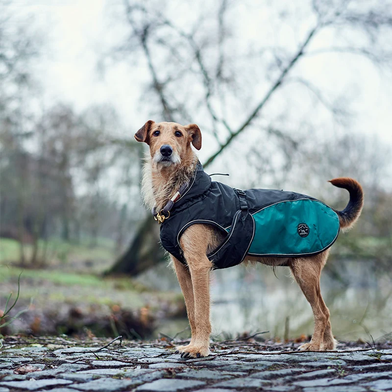 HUNTER - Uppsala Allrounder | Hundemantel