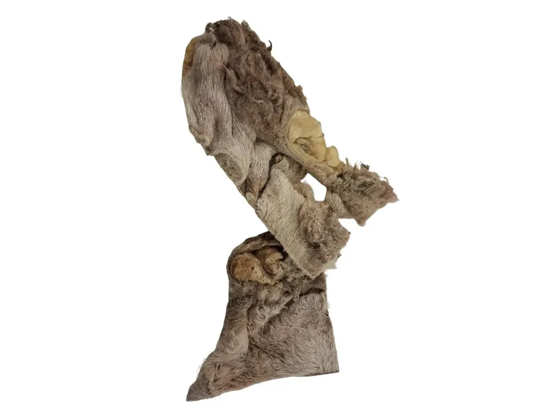 Lamm Kopfhaut, gefriergetrocknet