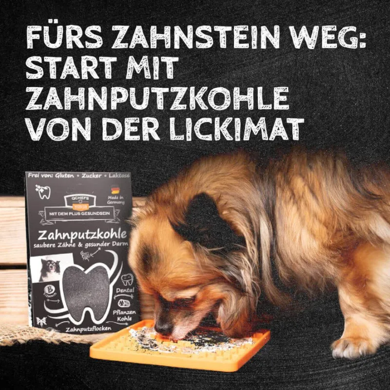 QCHEFS Zahnputzflips