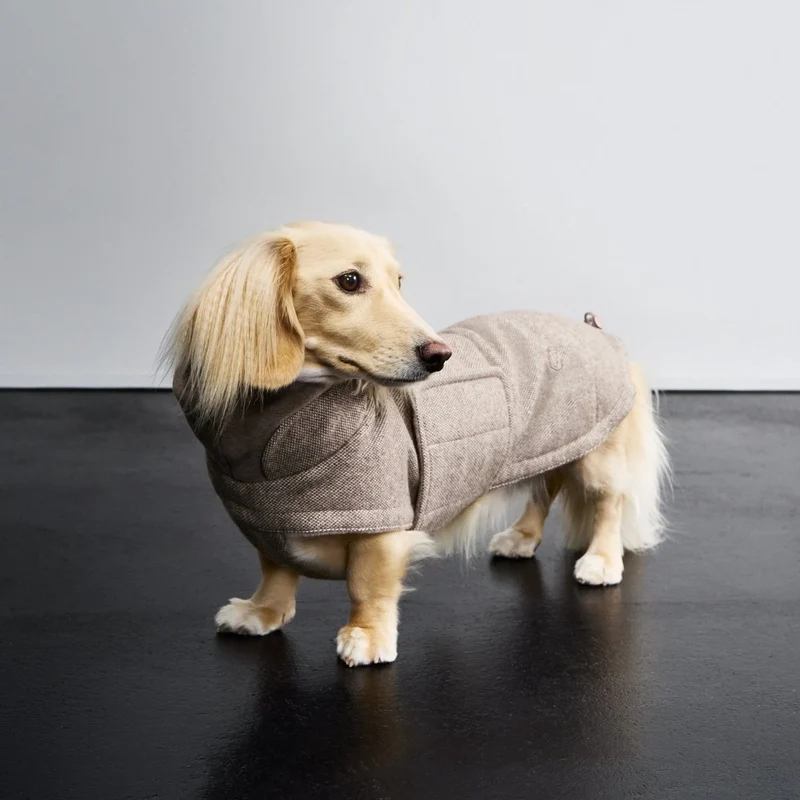 Hundemantel Brooklyn DACKEL Tweed Beige