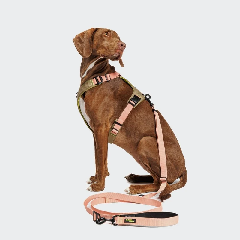 L-1 Freihandleine AKTIV Peach