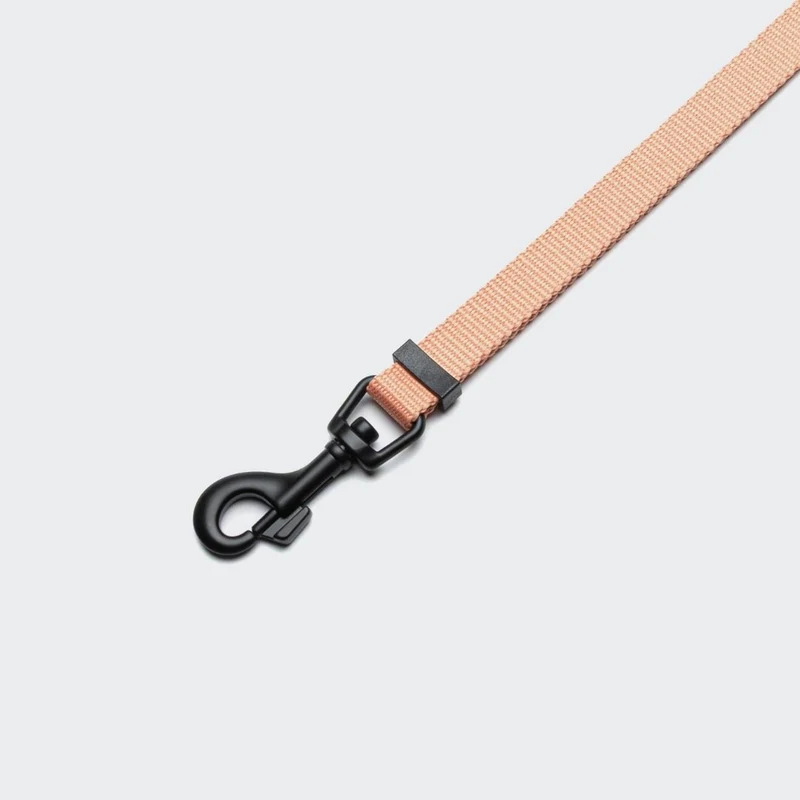 L-1 Freihandleine AKTIV Peach