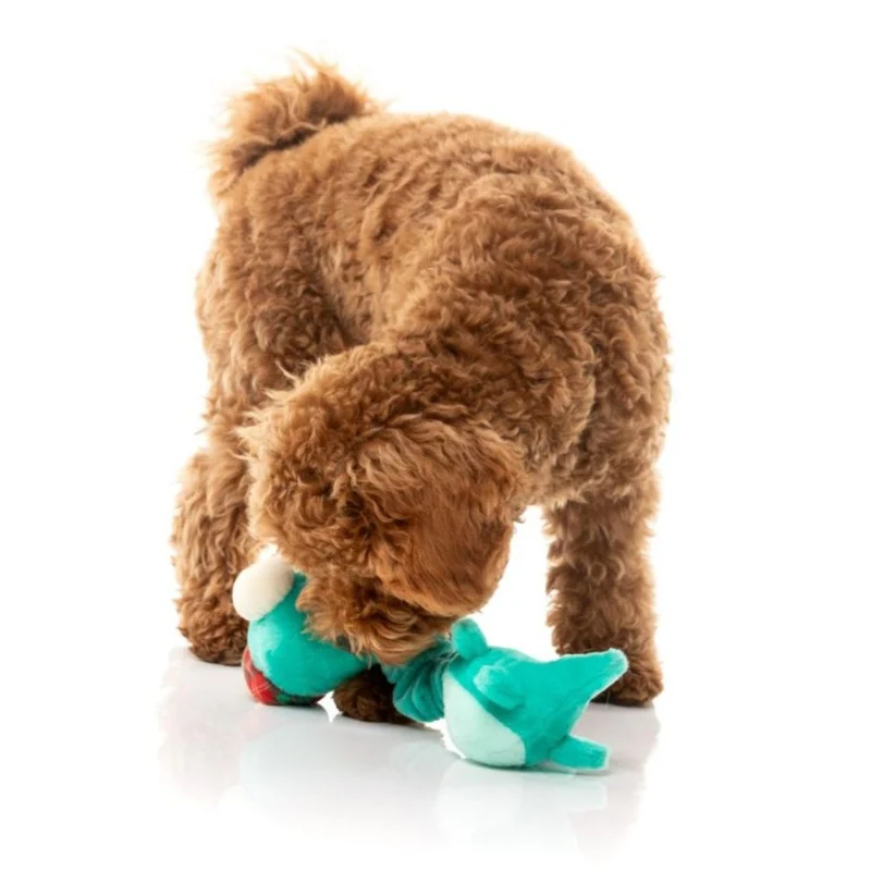 Hundespielzeug Neck Minnit - Loch Neck Monster