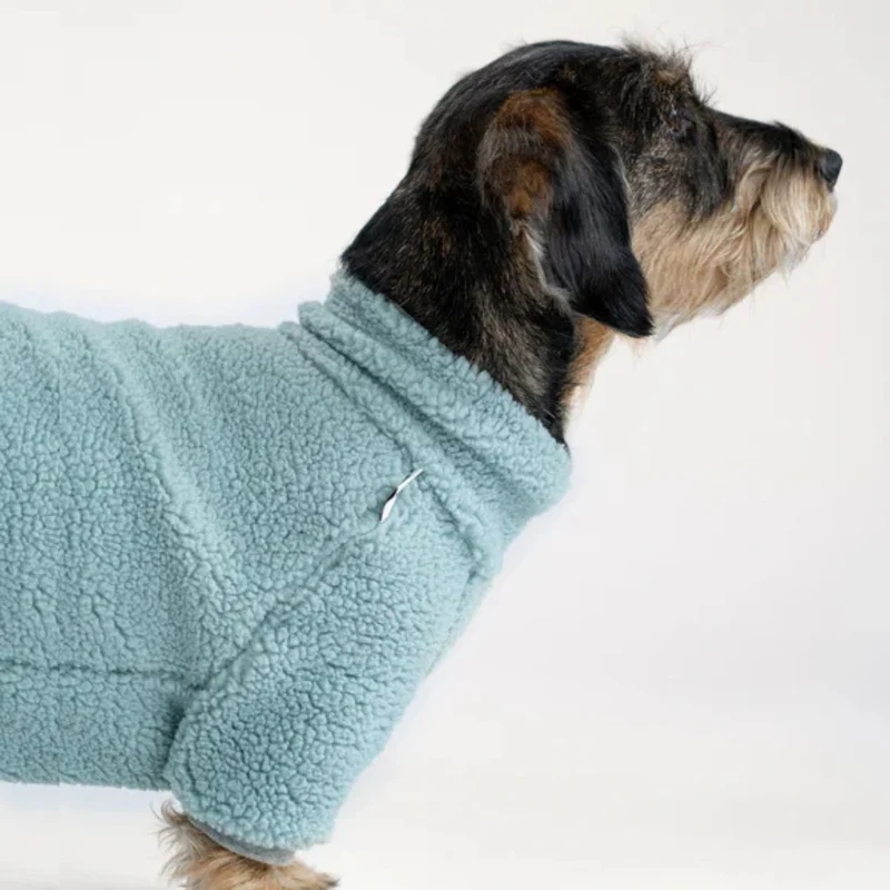 TEDDY Overall für Dackel Mint