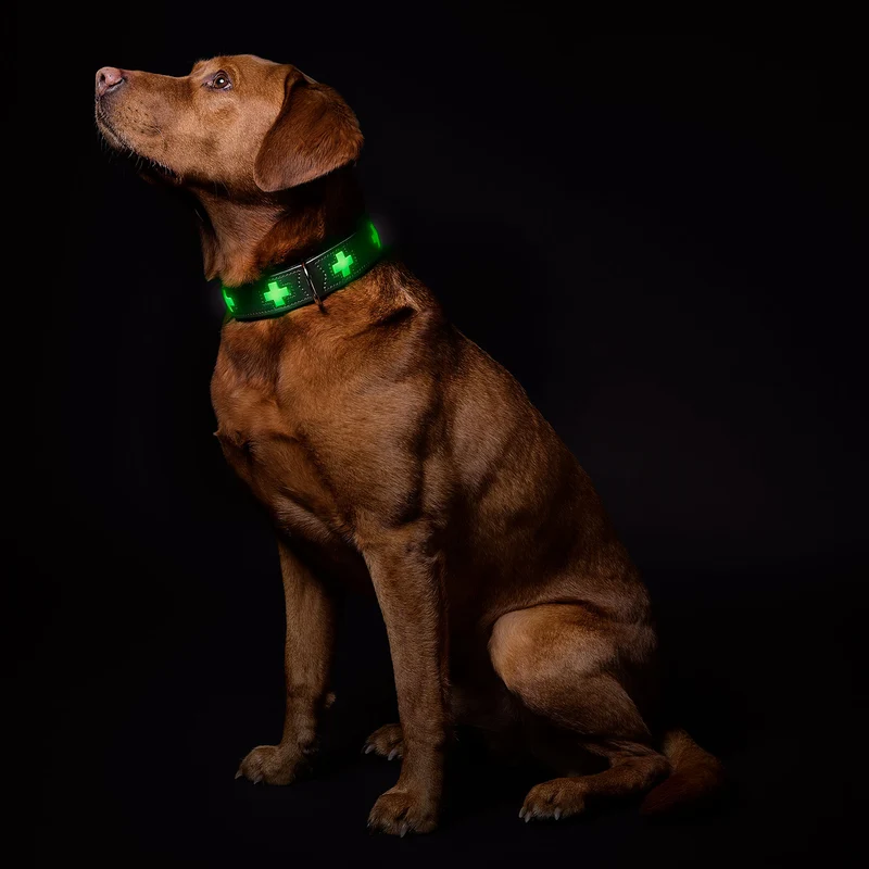 Halsband Swiss Glow