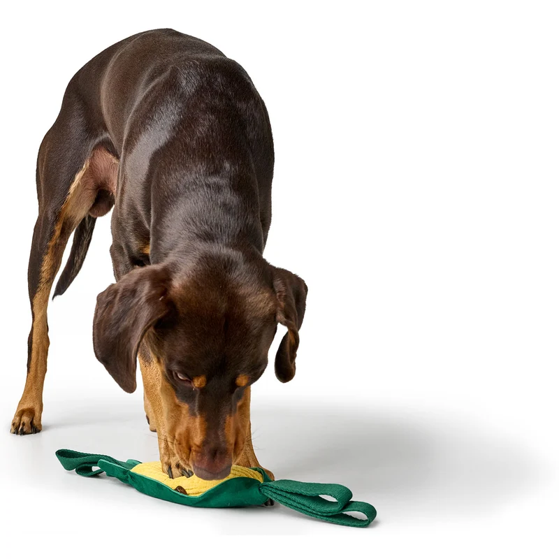 Hundespielzeug Venice