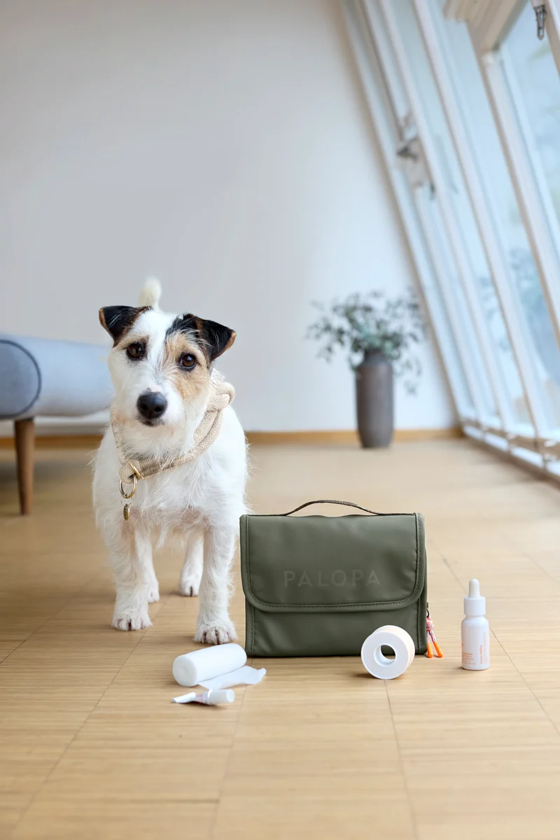 Hunde Erste-Hilfe-Tasche Bano Dunkelgrün