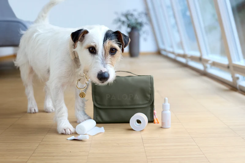Hunde Erste-Hilfe-Tasche Bano Dunkelgrün