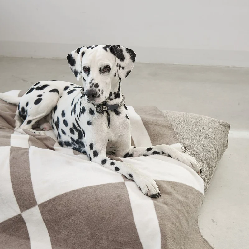 Blocco Hundedecke Taupe / Natur