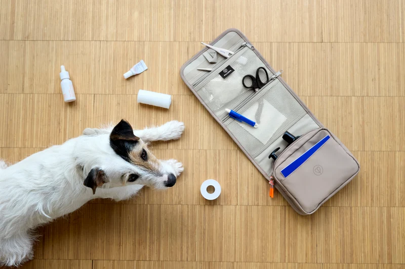 Hunde Erste-Hilfe-Tasche Bano Taupe