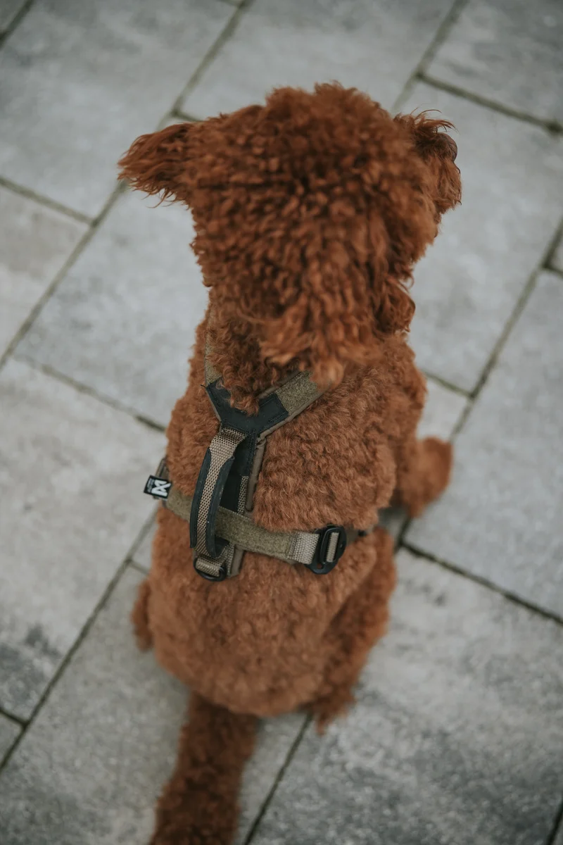Line Harness Grip WD