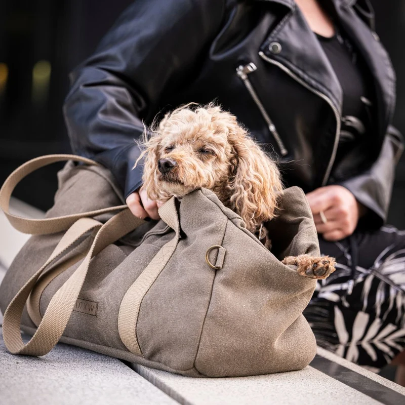 Hundetasche Lucca All Seasons Canvas Sand C7 x Woofstuff