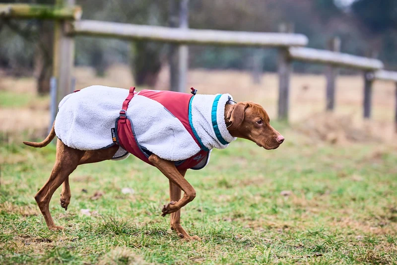 Trekking Fleece Dog Jacket