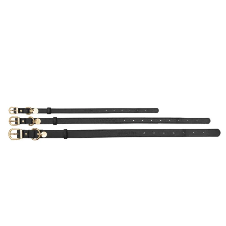 Hundehalsband Atelier Slate Grey