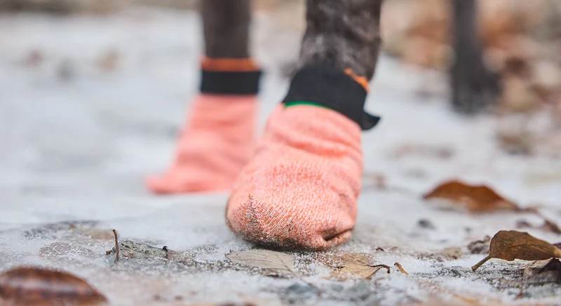Protector Light Socks