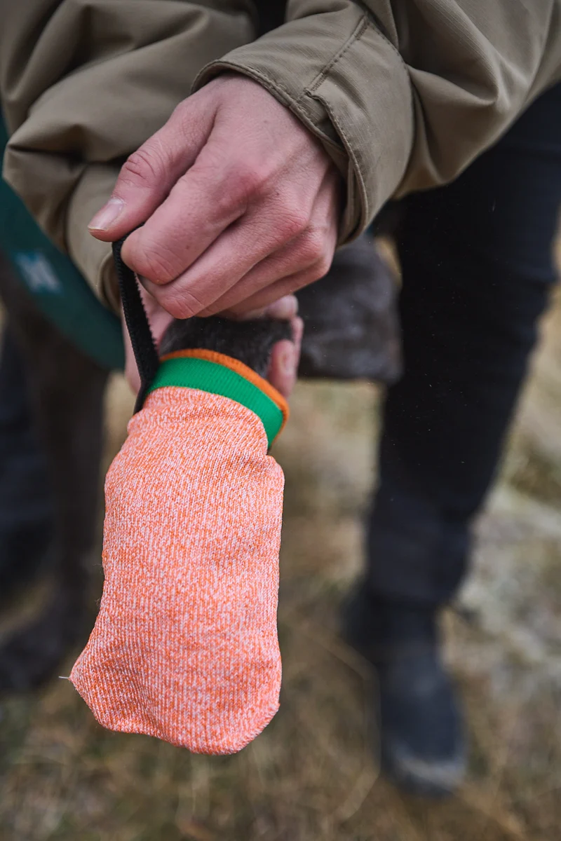 Protector Light Socks