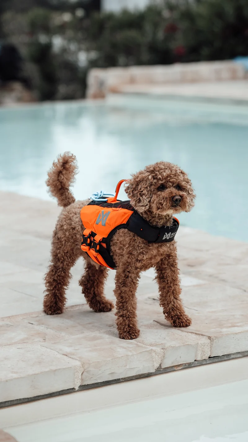 Protector Life Jacket Black/Orange