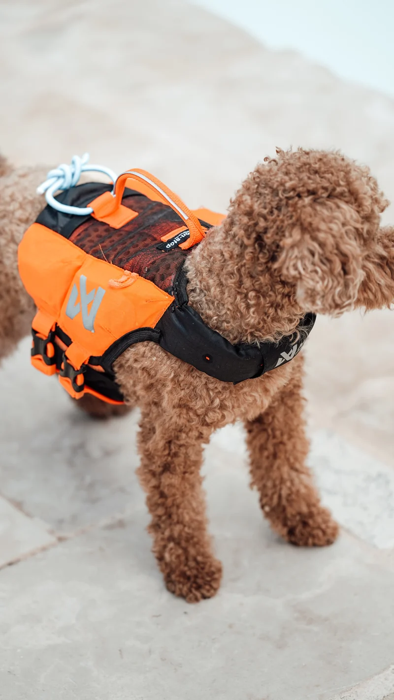 Protector Life Jacket Black/Orange