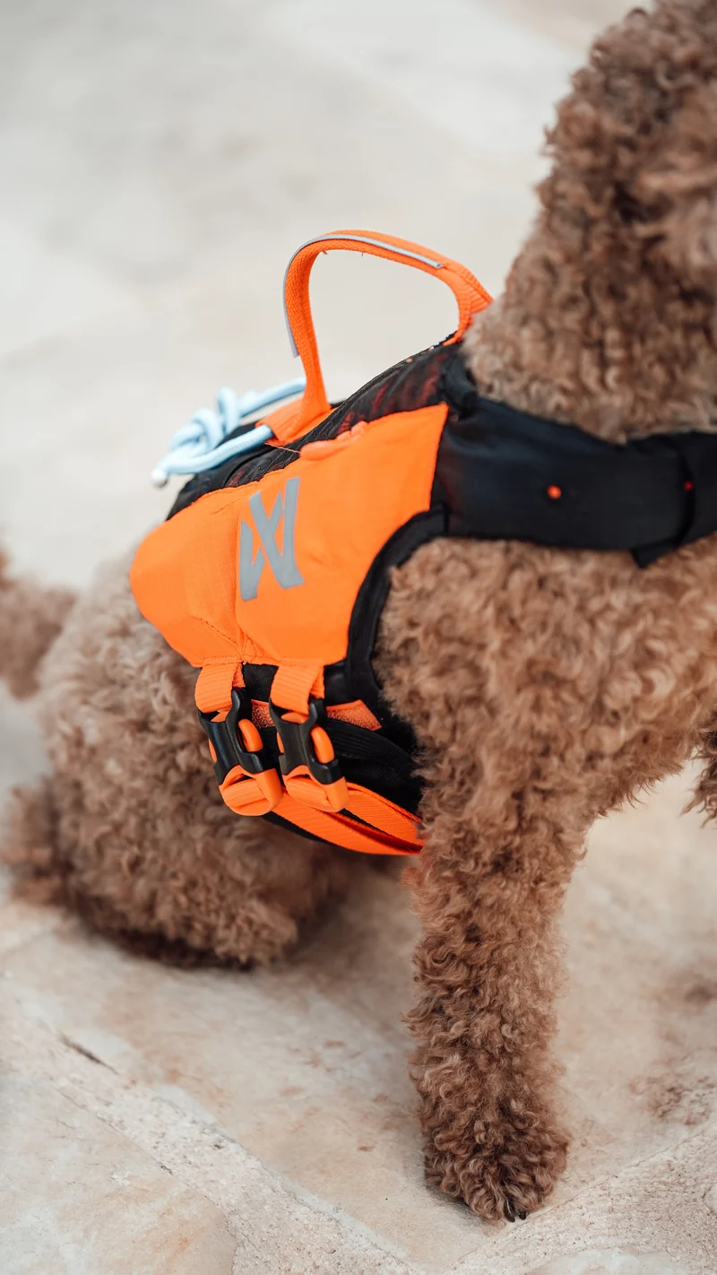 Protector Life Jacket Black/Orange