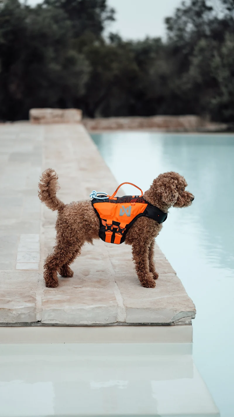 Protector Life Jacket Black/Orange