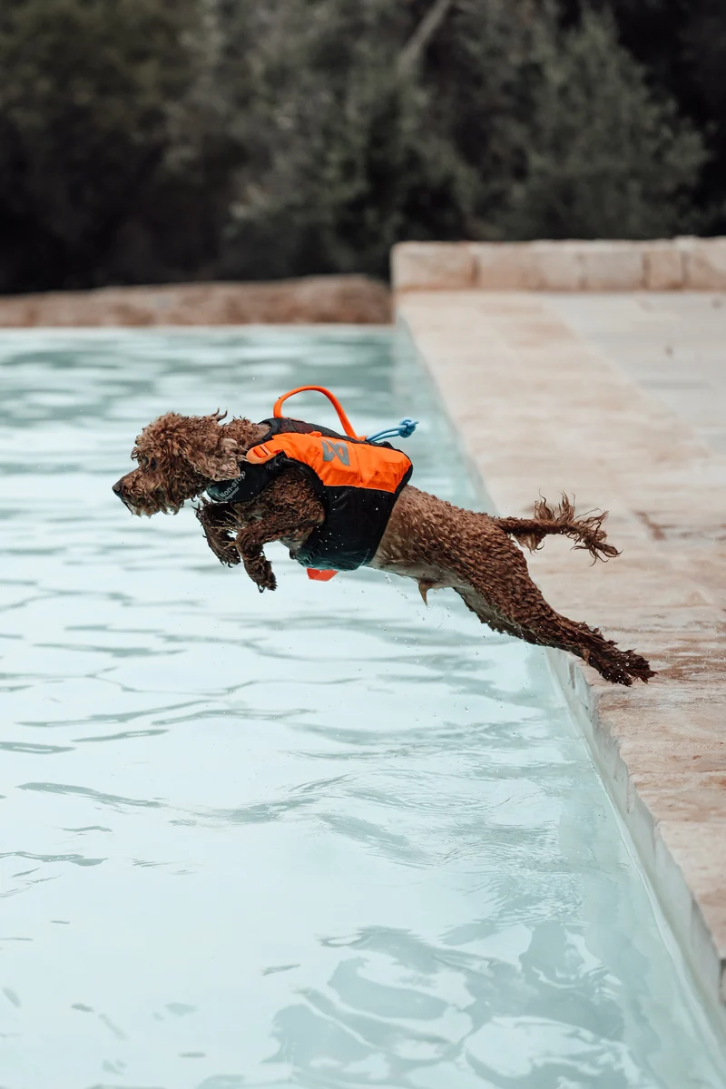 Protector Life Jacket Black/Orange