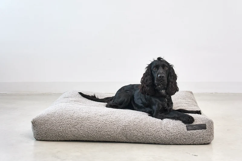 Senso Hundekissen Kiesel