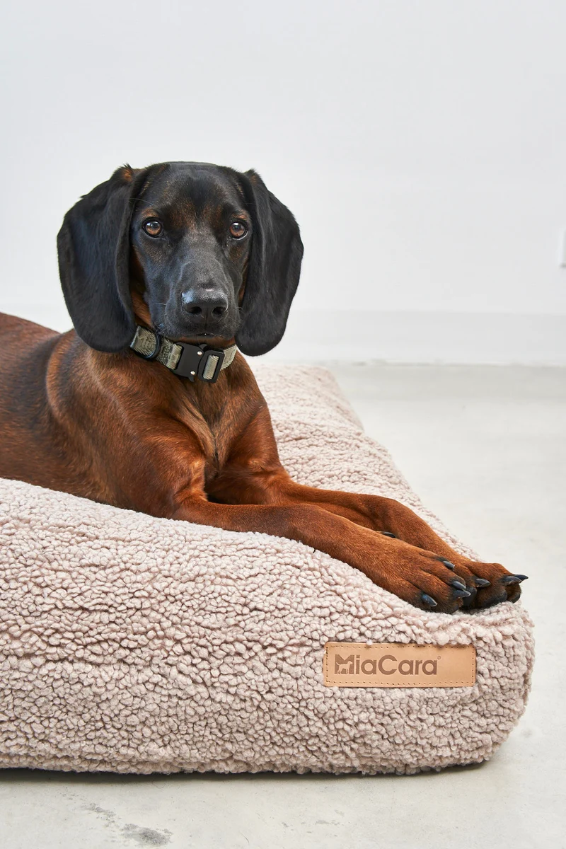 Senso Hundekissen Greige