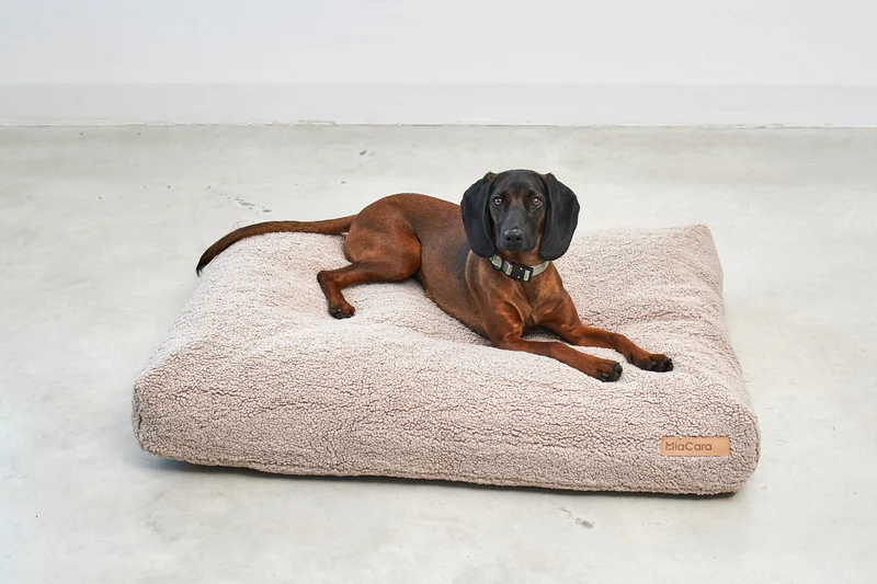 Senso Hundekissen Greige
