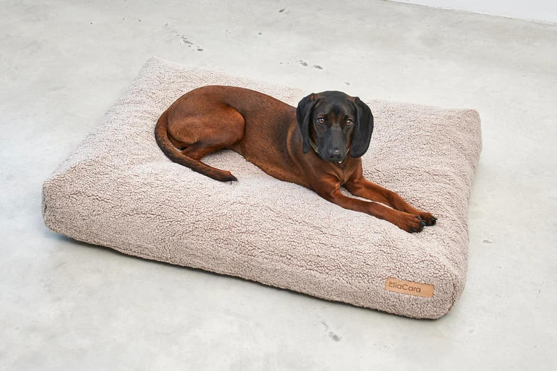Senso Hundekissen Greige