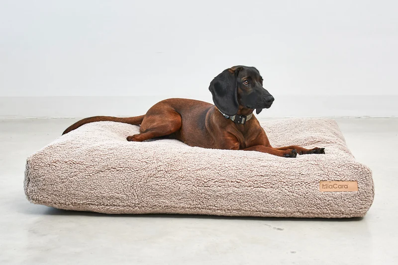 Senso Hundekissen Greige
