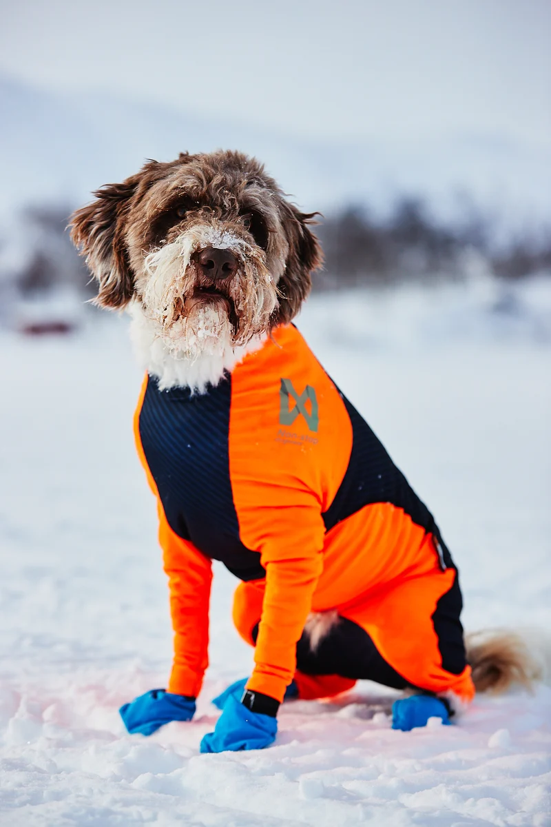 Protector Snow