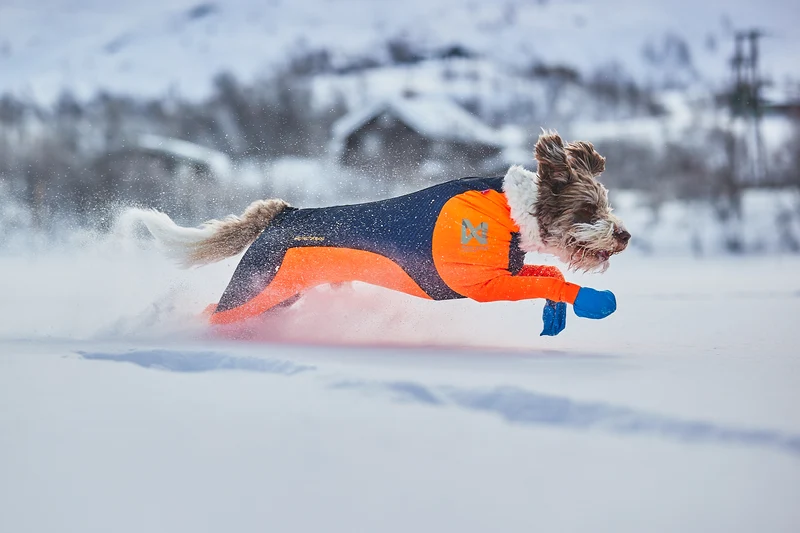 Protector Snow
