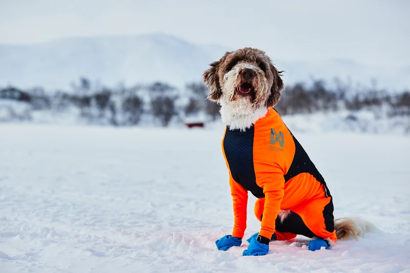 Protector Snow