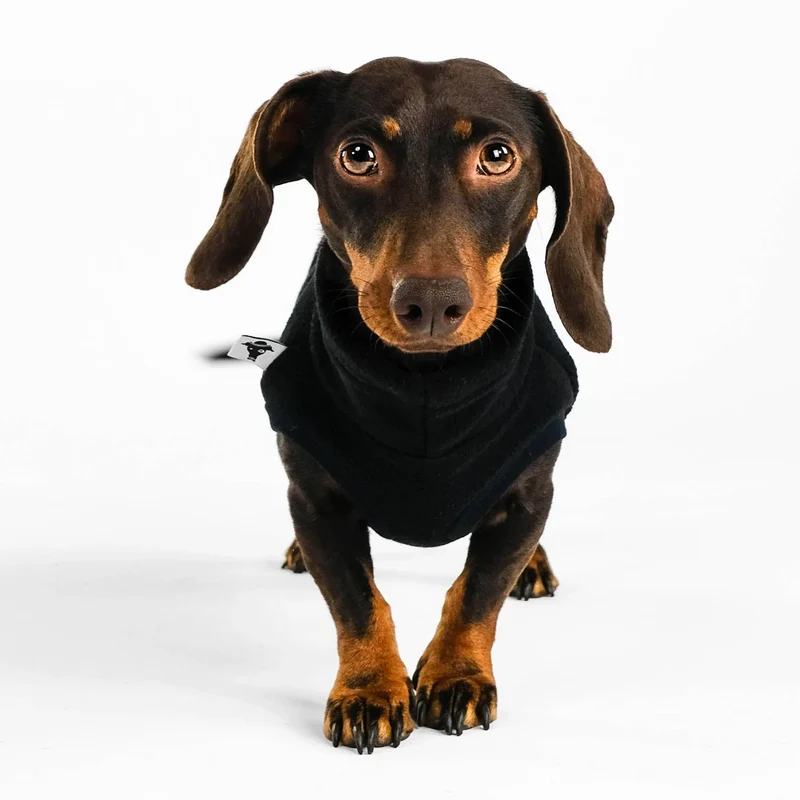 Fleece Shirt für Dackel Schwarz