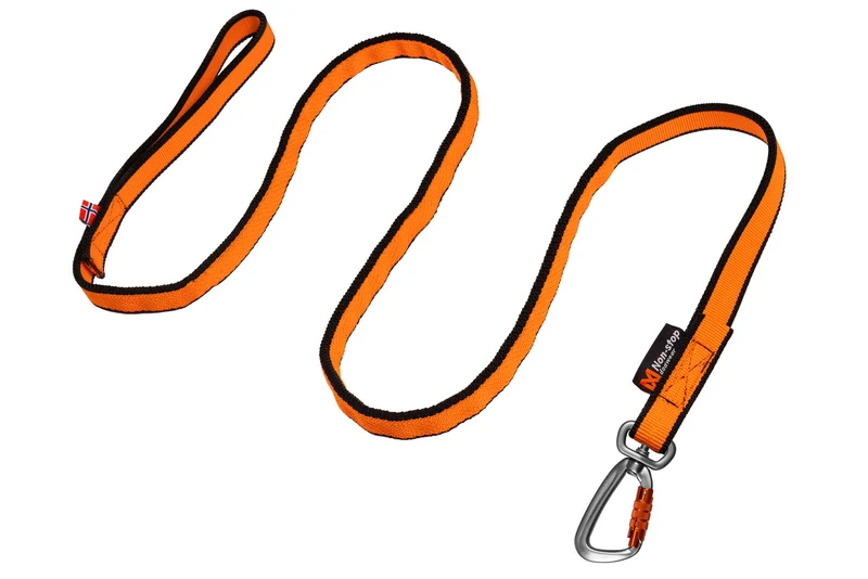 Bungee Leash Orange / Black