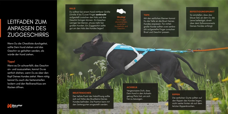Freemotion Harness 5.0 Black / Orange