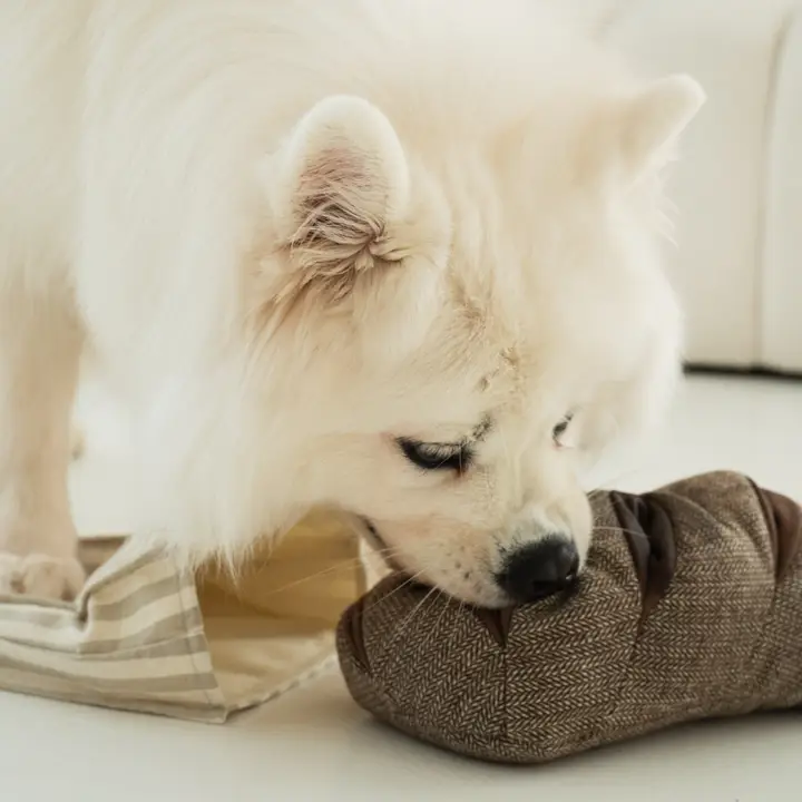 Schnüffelspielzeug Rye